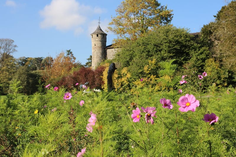 50947585186_6e4e7cc64a_c