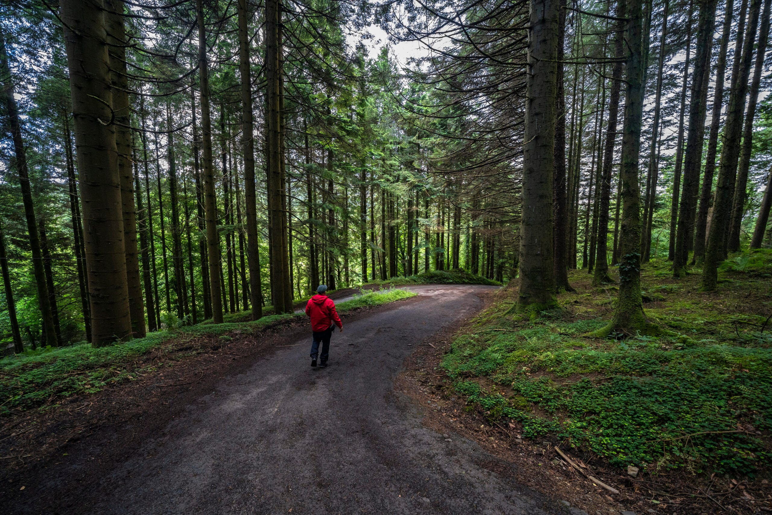 51022155093_ef038eeb95_o