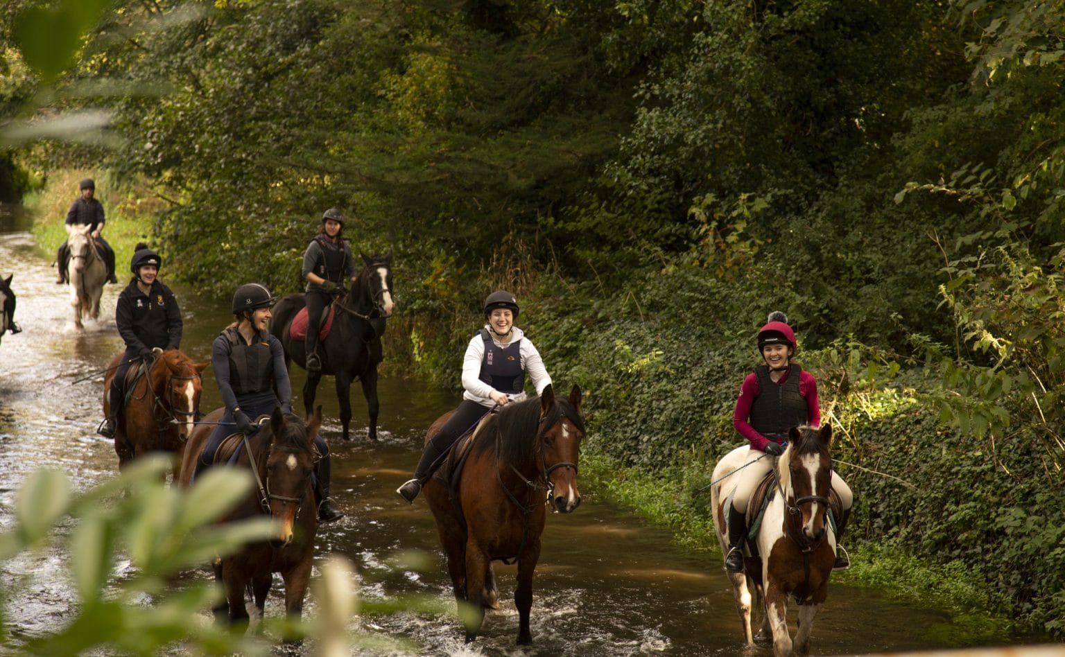 Group of six people riding horses through a shallow forest stream, surrounded by dense green foliage, with most riders smiling and wearing helmets and safety vests.
