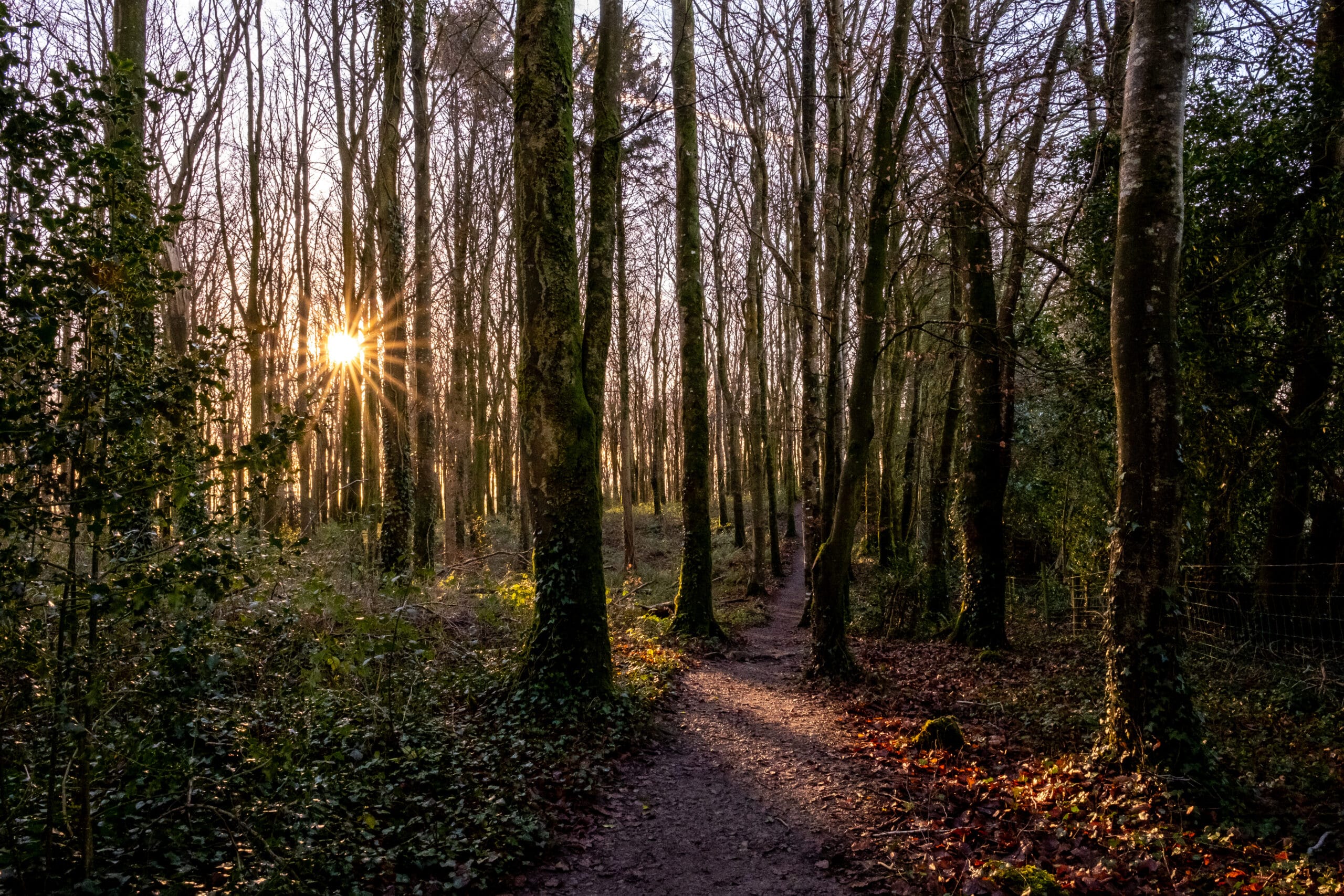 51840342634_b91d1b4be0_o