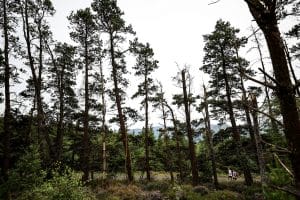 Ballinacourty Loop, Aherlow