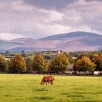 Horse Country Stud Farm