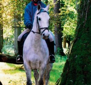 Cahir Equestrian Centre